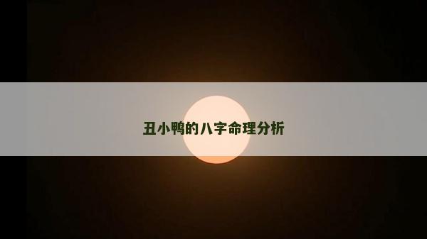 丑小鸭的八字命理分析