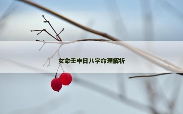 女命壬申日八字命理解析