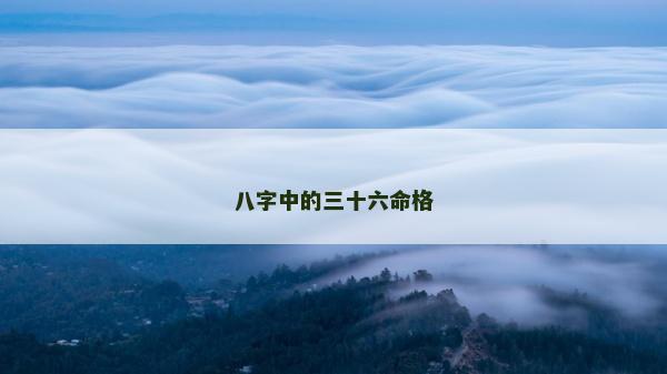 八字中的三十六命格