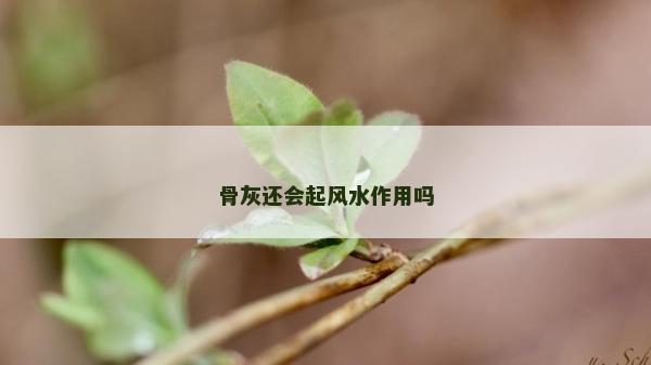骨灰还会起风水作用吗