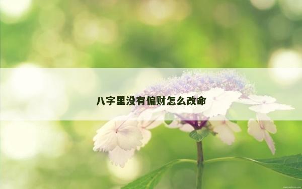 八字里没有偏财怎么改命