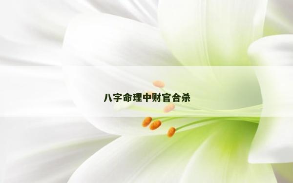 八字命理中财官合杀