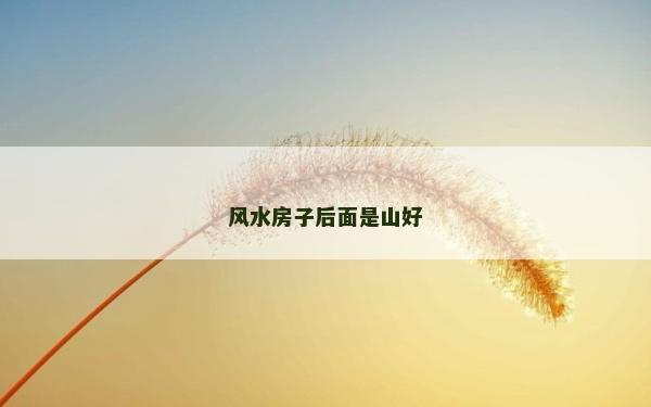 风水房子后面是山好