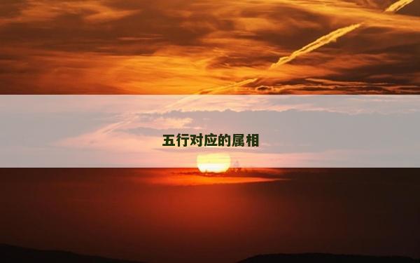 五行对应的属相