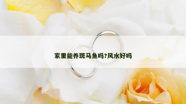 家里能养斑马鱼吗?风水好吗