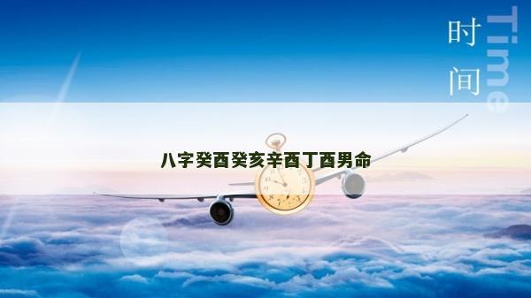八字癸酉癸亥辛酉丁酉男命