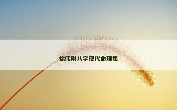 徐伟刚八字现代命理集
