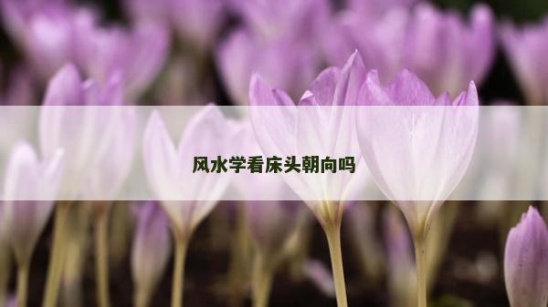 风水学看床头朝向吗
