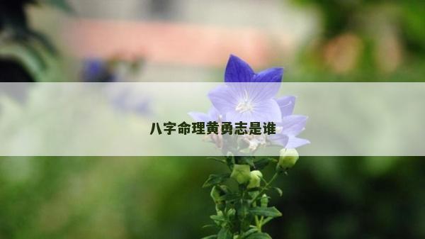 八字命理黄勇志是谁