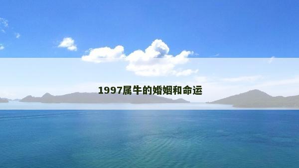 1997属牛的婚姻和命运