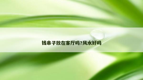 钱串子放在客厅吗?风水好吗