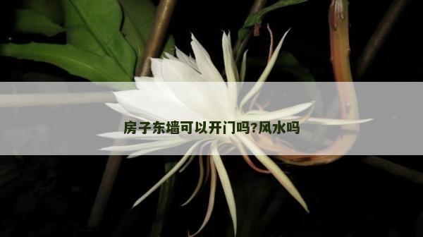 房子东墙可以开门吗?风水吗