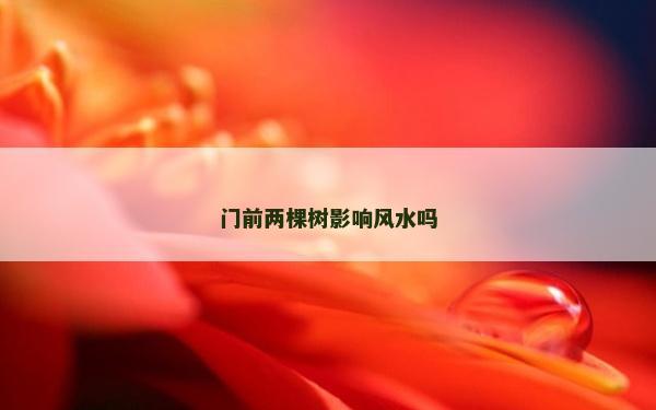 门前两棵树影响风水吗