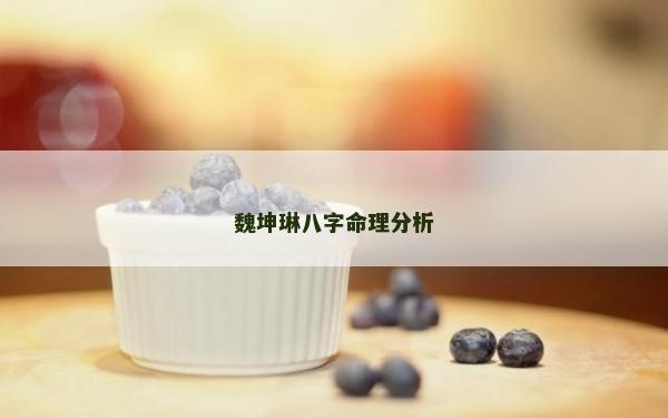 魏坤琳八字命理分析