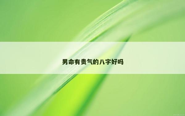 男命有贵气的八字好吗