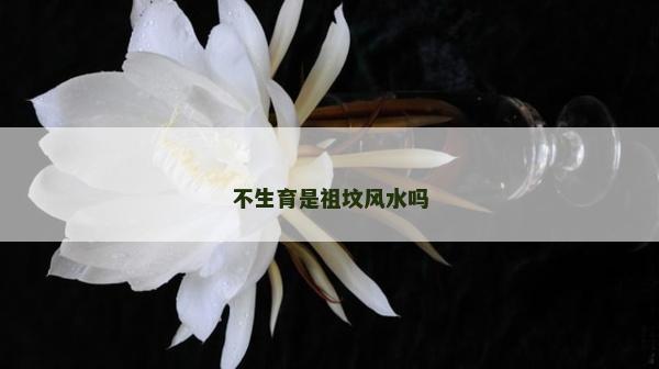 不生育是祖坟风水吗