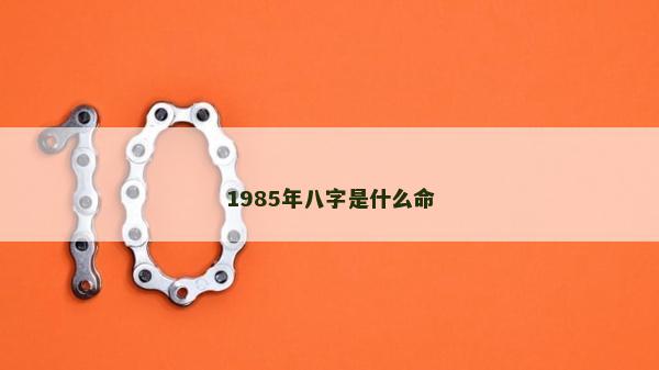 1985年八字是什么命