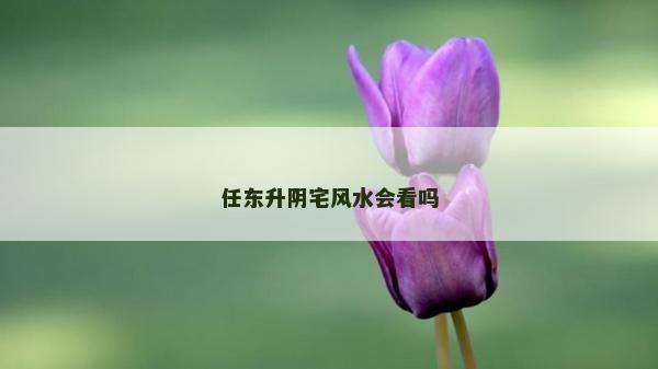 任东升阴宅风水会看吗