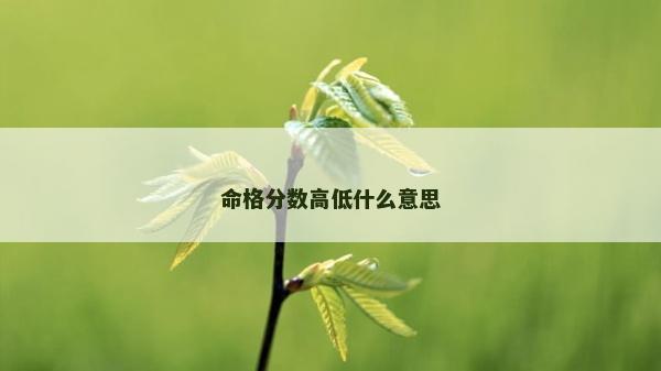 命格分数高低什么意思