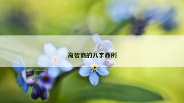 高智商的八字命例