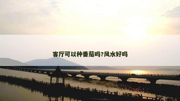 客厅可以种番茄吗?风水好吗