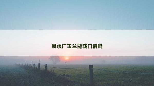风水广玉兰能载门前吗