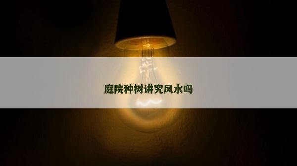 庭院种树讲究风水吗