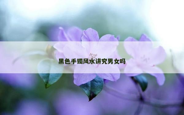 黑色手镯风水讲究男女吗