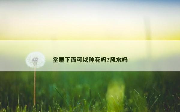 堂屋下面可以种花吗?风水吗