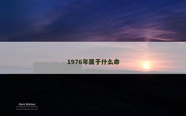 1976年属于什么命