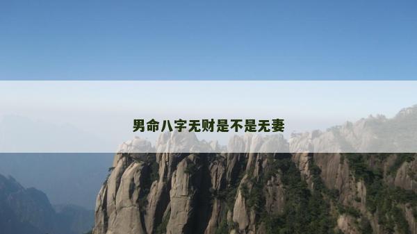 男命八字无财是不是无妻