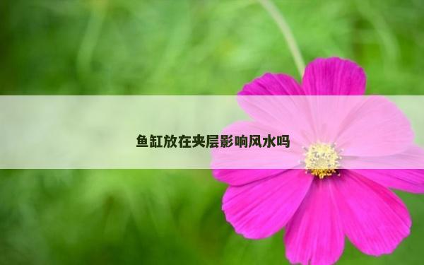 鱼缸放在夹层影响风水吗