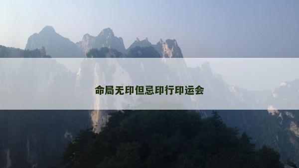 命局无印但忌印行印运会