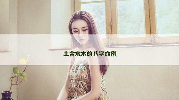 土金水木的八字命例