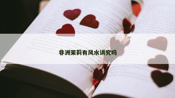 非洲茉莉有风水讲究吗