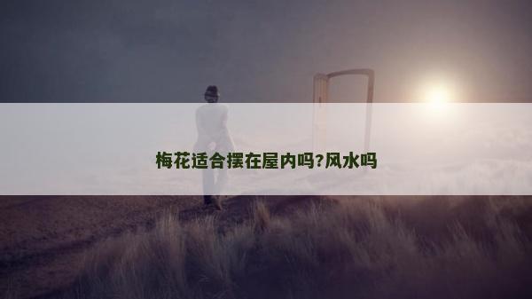梅花适合摆在屋内吗?风水吗