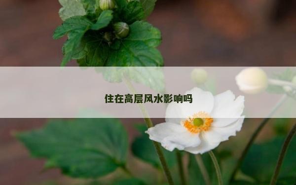 住在高层风水影响吗