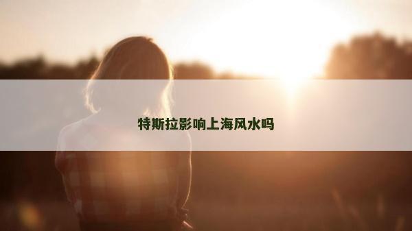 特斯拉影响上海风水吗