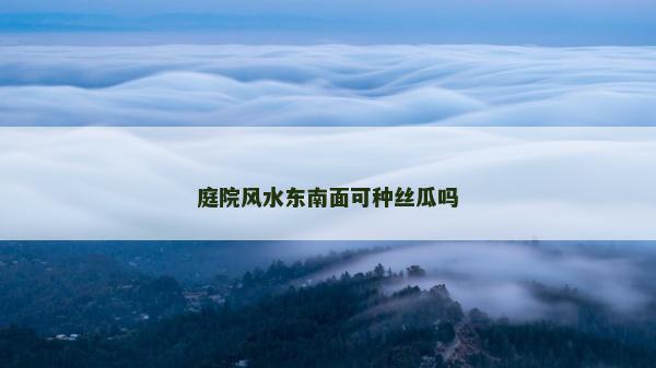 庭院风水东南面可种丝瓜吗
