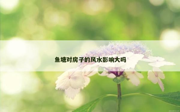 鱼塘对房子的风水影响大吗
