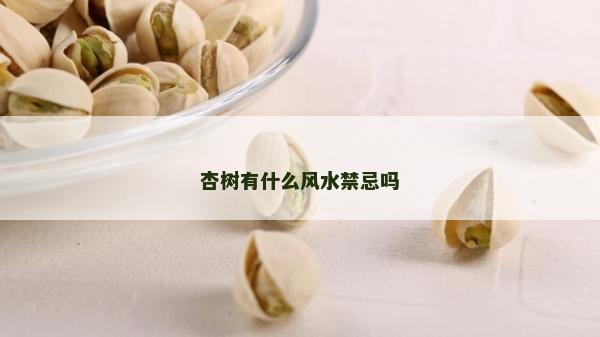 杏树有什么风水禁忌吗