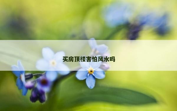 买房顶楼害怕风水吗