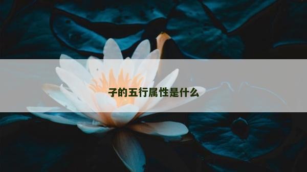 子的五行属性是什么