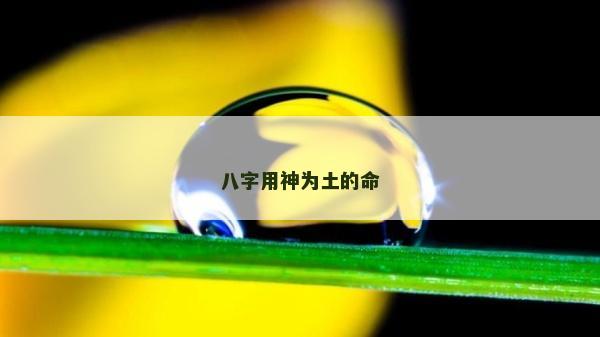 八字用神为土的命