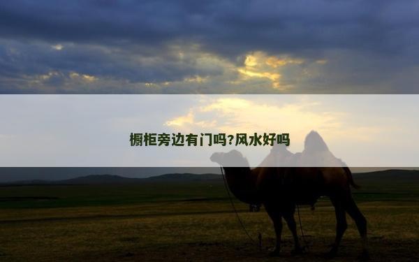橱柜旁边有门吗?风水好吗