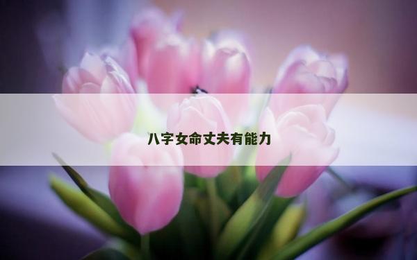 八字女命丈夫有能力