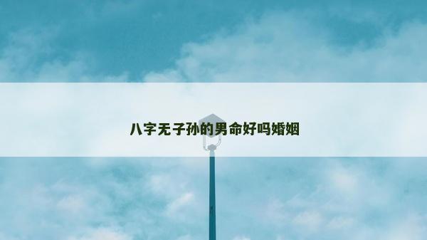 八字无子孙的男命好吗婚姻