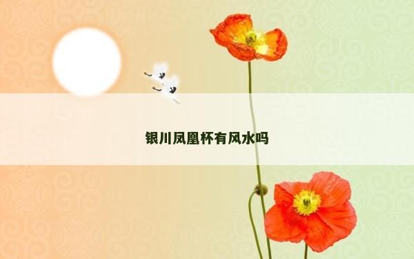 银川凤凰杯有风水吗