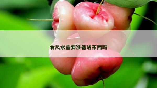 看风水需要准备啥东西吗