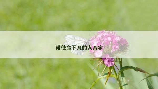 带使命下凡的人八字